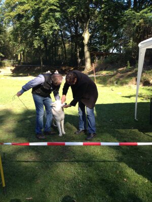 Enya mit dem Richter